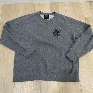 HippyTree Sweatshirt Mens XL Gray Searchers Surf Stone Graphic Crewneck